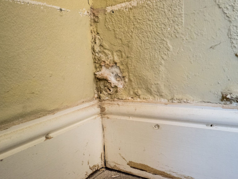 Fix Rising Damp & Proofing